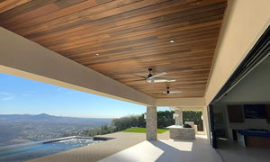 Modern Exterior Cladding in Thermo Poplar