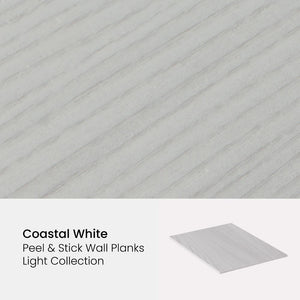 Peel & Stick Wall Plank Samples
